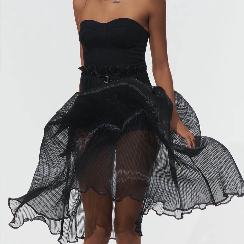 NWT Pilcro Strapless Bodysuit & Sheer Skirt